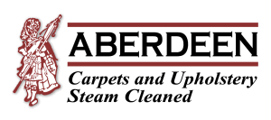 carpet rug cleaning repairing in