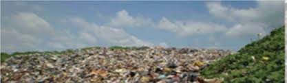 Heavy Metal Contents in Soil and Plants at Dumpsites: A Case Study of  Awotan and Ajakanga Dumpsite Ibadan, Oyo State, Nigeria