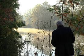 five seasons the gardens of piet oudolf