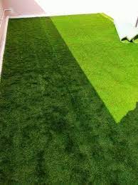 pp green 35 mm artificial gr carpet