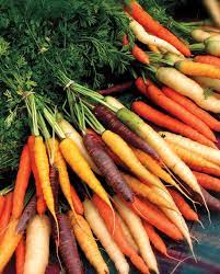 How To Grow Carrots From Seed West Coast Seeds gambar png