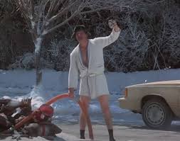 Simple rv tip to save you embarrassment | travelingmom. Take A Xmas Picture With Cousin Eddie S Rv In Blooming Prairie