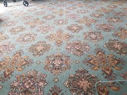 carpet bidbud
