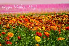 20 fabulous things to do for mom on