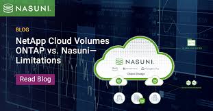 netapp cloud volumes ontap vs nni