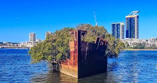 shipwrecks of sydney olympic park