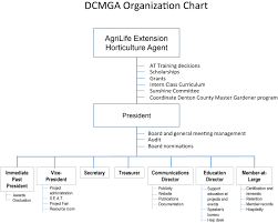 Organization Chart And Board Of Directors