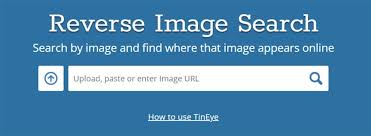 reversed insram image search