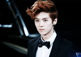 Image result for Luhan