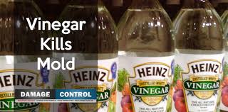 Vinegar Mixtures That Kill Mold