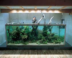 Nature Aquariums and Aquascaping Inspiration gambar png
