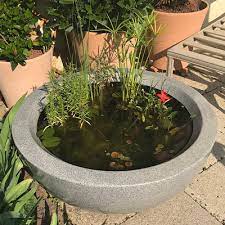 Container Pond Ideas And Planting