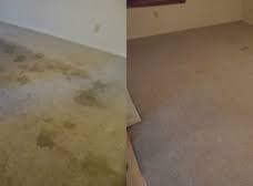 maximum carpet cleaning restoration