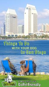 dog friendly things to do in san go