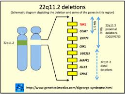 The term 22q11.2 deletion syndrome covers terms once. Digeorge Syndrome Dermnet Nz
