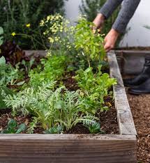 Stodels Your Go To Garden For