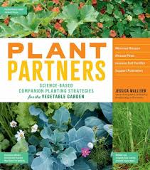 Companion Planting Plant Partners