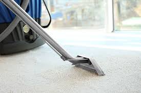 how much does carpet cleaning cost 2024