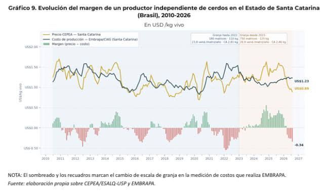Cerdo barato en Brasil: más importaciones y presión sobre los precios argentinos
