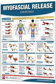 24 X 36 Laminated Fitness Poster Wall Chart Foam Roller