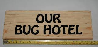 Personalised Any Words Bug Insect Hotel