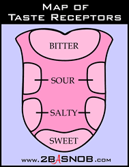 Diagram Of Tongue Taste Wiring Diagram