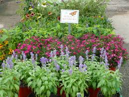 Here is a partial list: Gardening With Texas Tough Perennials Covingtons