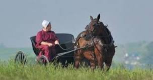 What is forbidden in Amish culture?
