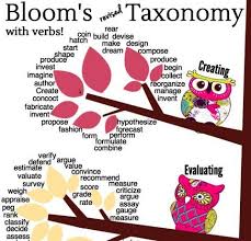 Blooms Revised Taxonomy Action Verbs Infographic E