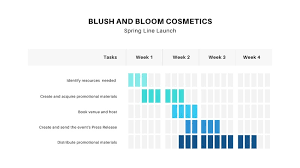 Blue And White Gantt Chart Presentation Templates By Canva