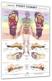 Why Are There Different Reflexology Charts Balancing Touch
