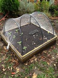 Garden Netting Raised Garden Beds
