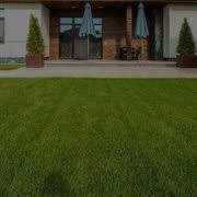 green carpet lawn care updated april