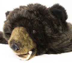 black bear rug