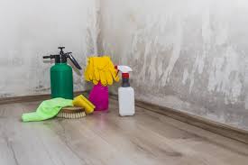 how to get rid of black mold in your