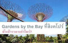 gardens by the bay ท ส งคโปร ต วราคาเท าไหร