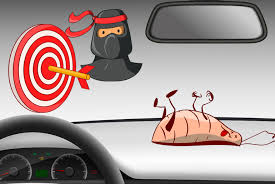 how to get rid of roaches in car