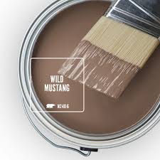 Wild Mustang Is The November Color Of