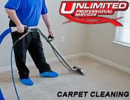 home unlimited professional services