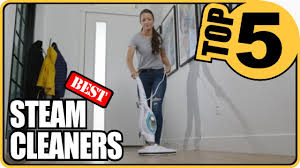 best steam cleaner for home 2022 top