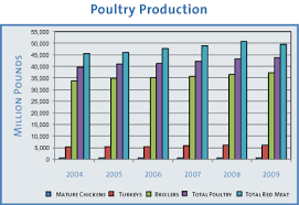 A Guide To World Poultry Chicken Meat Market Ecnomic
