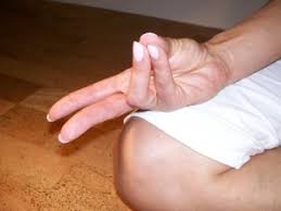 Image result for fingers gun mudra