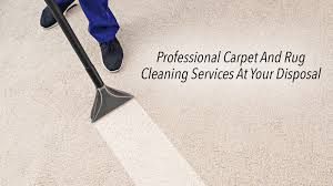professional carpet and rug cleaning