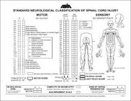 Asia Impairment Scale Spinal Cord Injury Spinal Cord