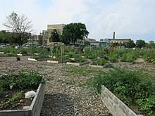 community gardening wikipedia