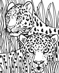 free printable coloring pages of cheetah