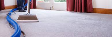 for carpet cleaning palmerston north