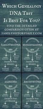 Which Ancestry Dna Test Is The Best A Detailed Comparison