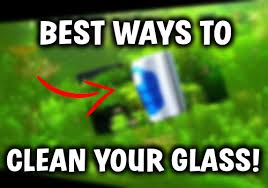 Best Ways To Clean Your Aquarium Glass