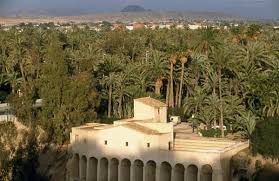 Travel guide resource for your visit to elche. Palmeral Of Elche Elx Spain Atlas Obscura